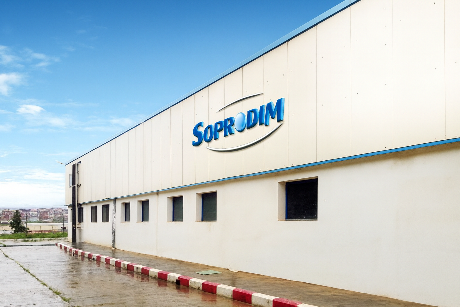 International Scope / Global Presence